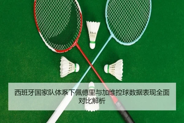 西班牙国家队体系下佩德里与加维控球数据表现全面对比解析